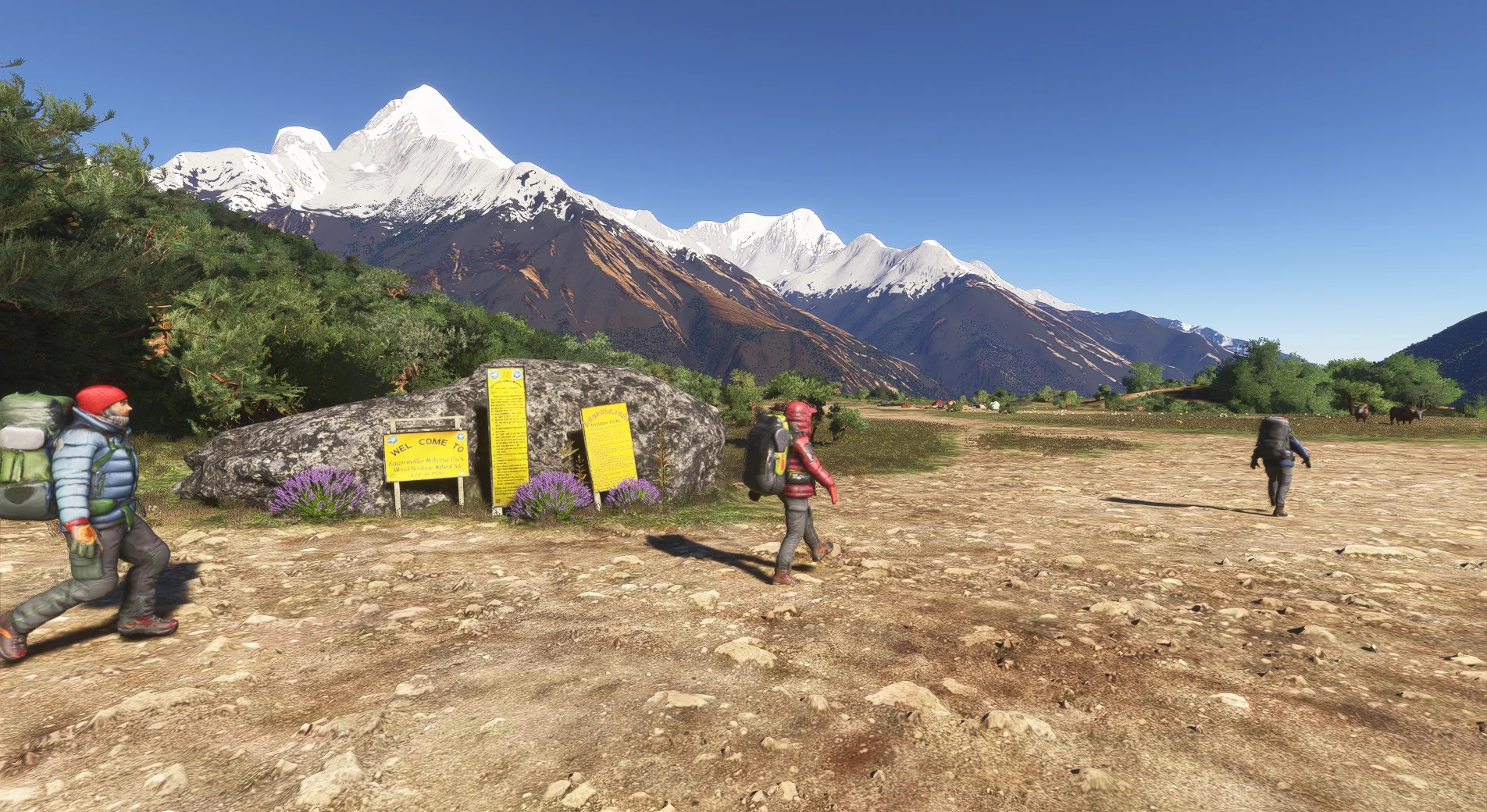 Mt. Everest Airports Vol.3 MSFS24 - Image 29
