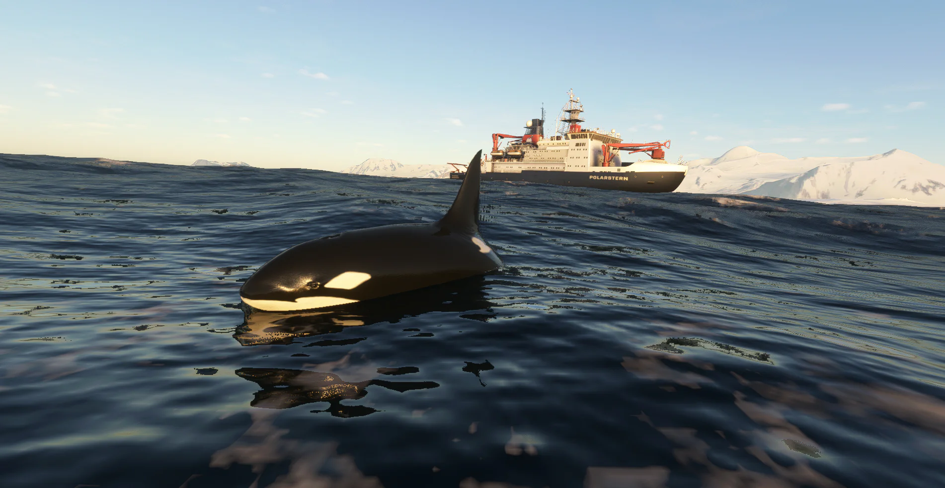 Antarctica Vol. 1 - British Rothera MSFS - Image 7