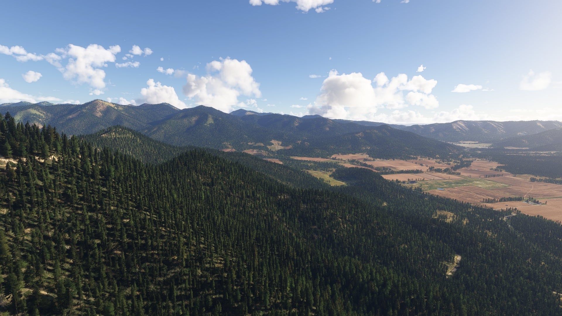 OG13 - Fly By Night Airport MSFS24 - Image 34