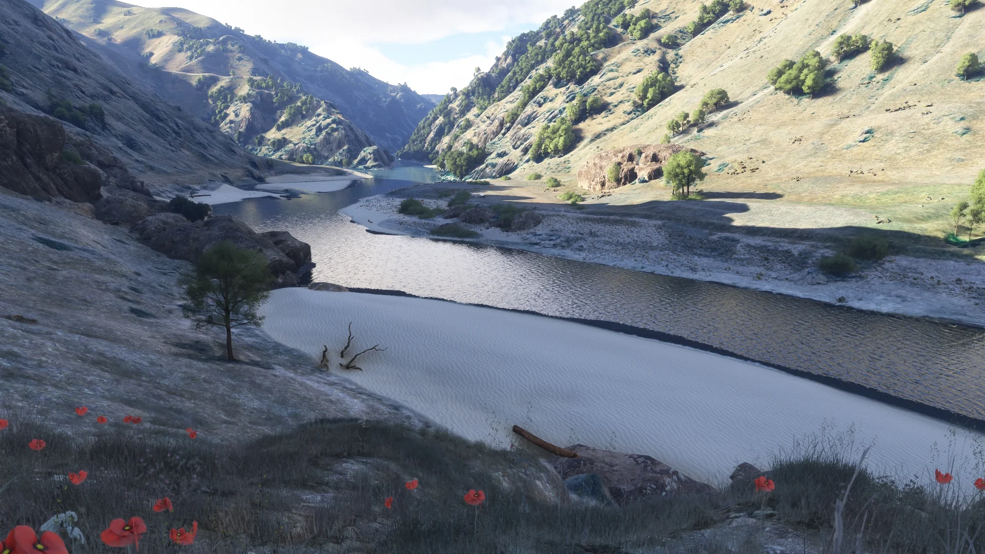 Hells Canyon MSFS24 - Image 75