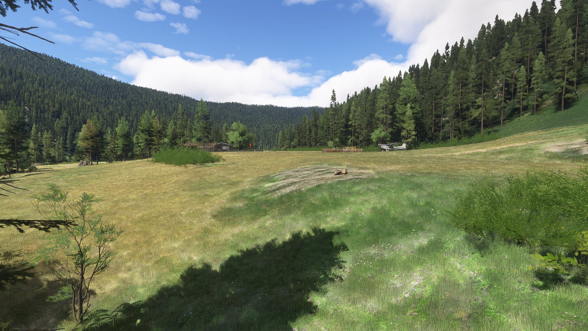 OR74 - Winkle Bar Airstrip MSFS24 - Image 7