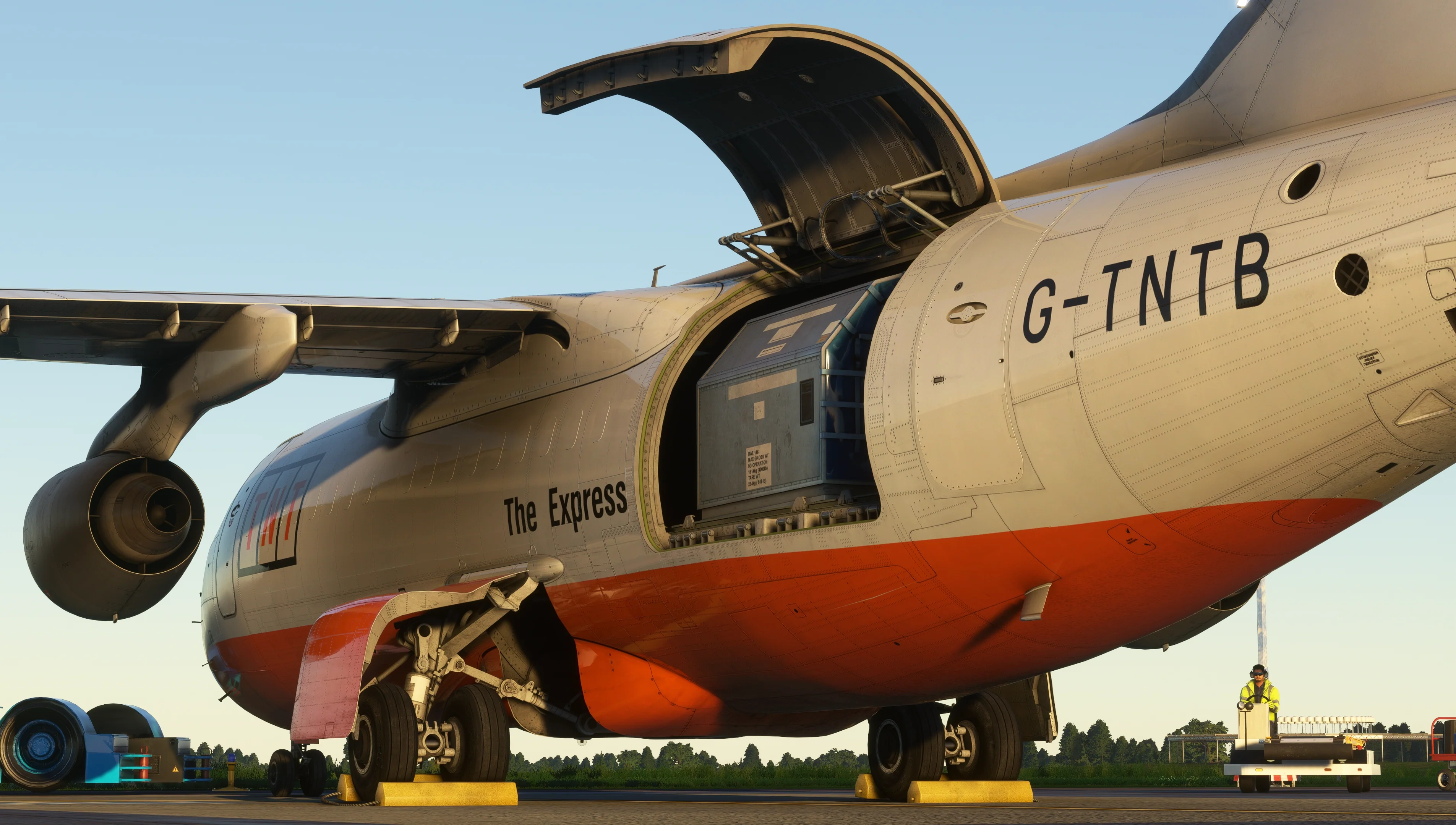 146 Professional MSFS - Image 25