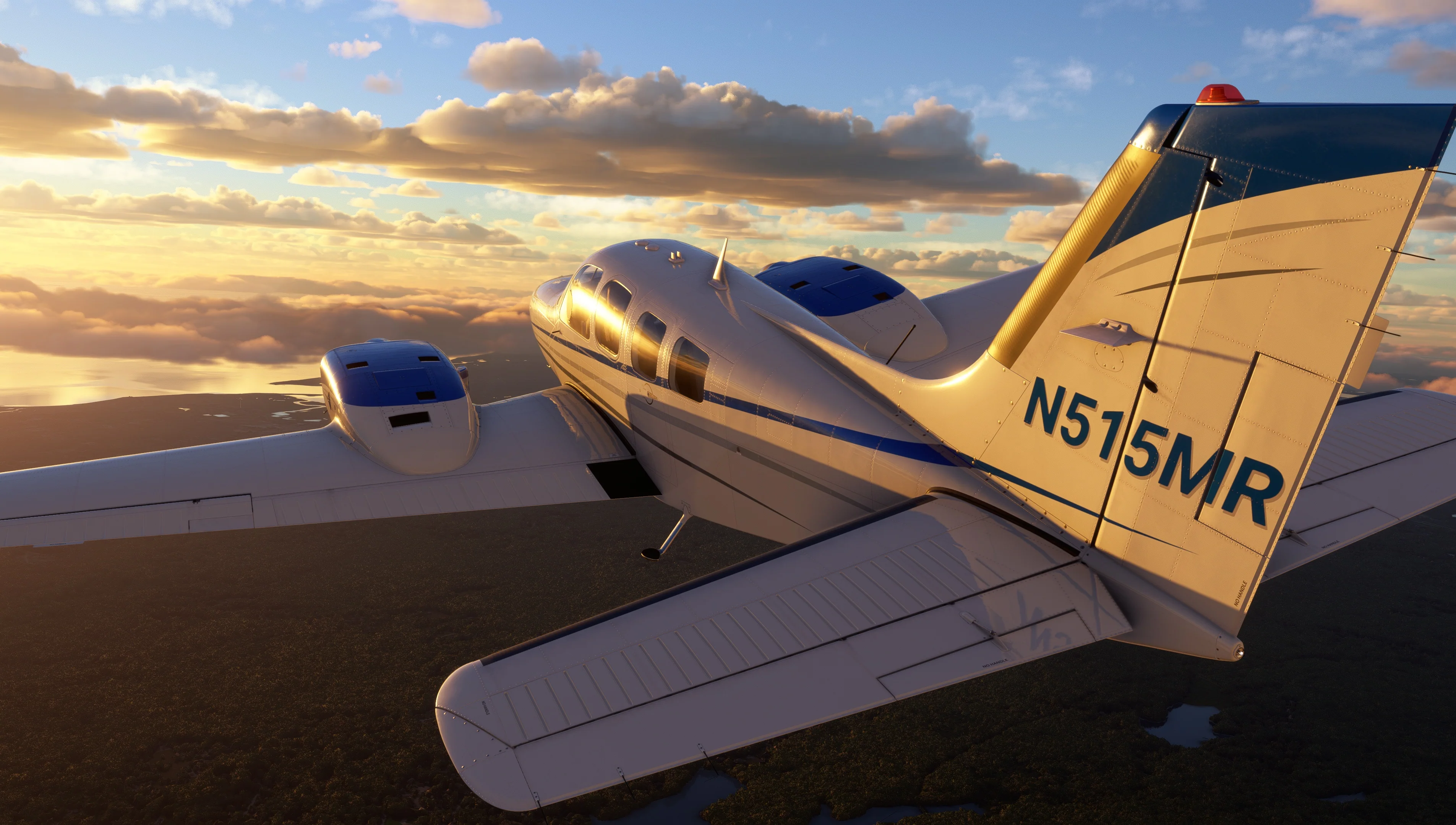 Baron Professional MSFS20/24 - Image 18