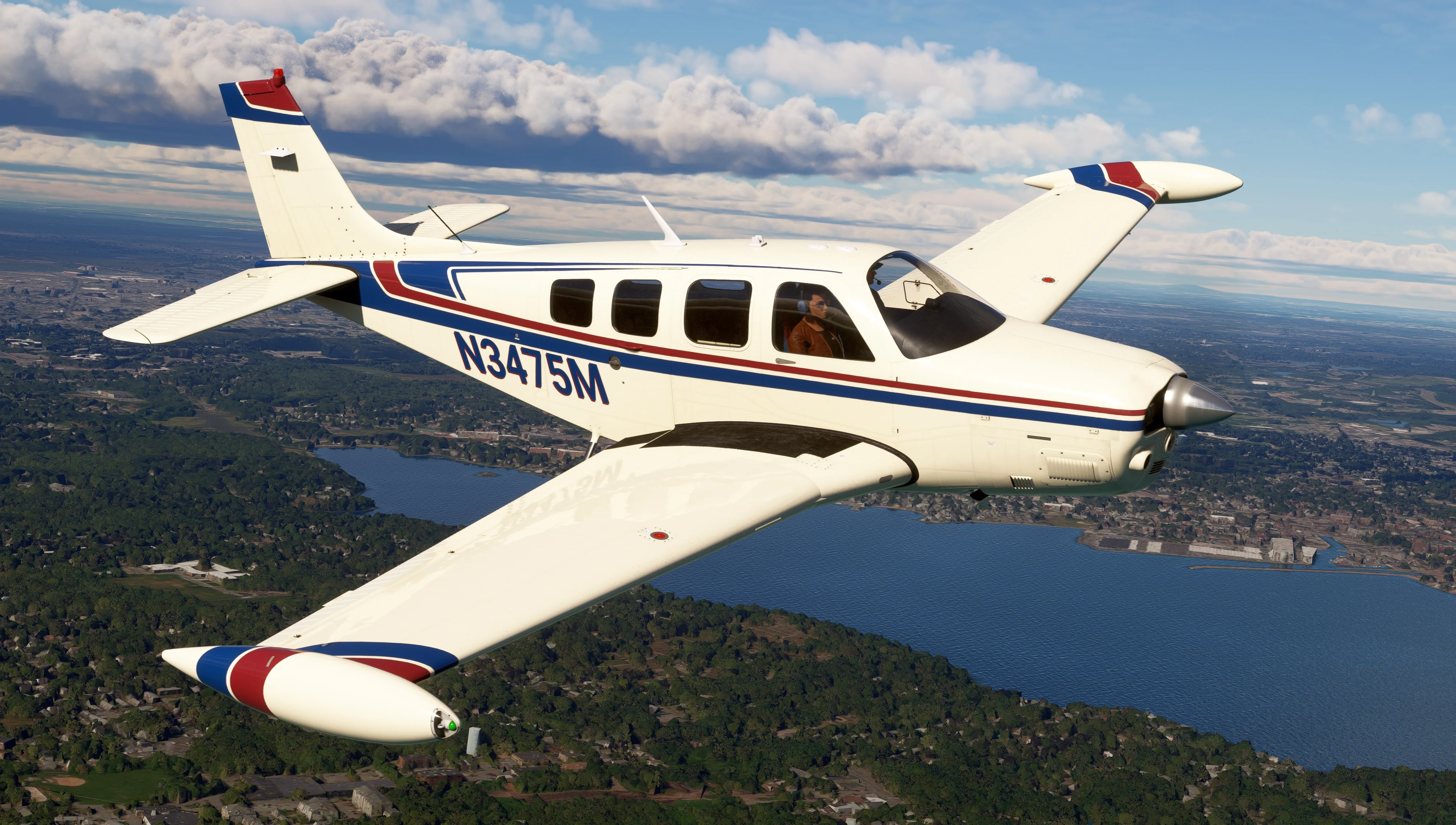 Bonanza Professional MSFS20/24 - Image 20