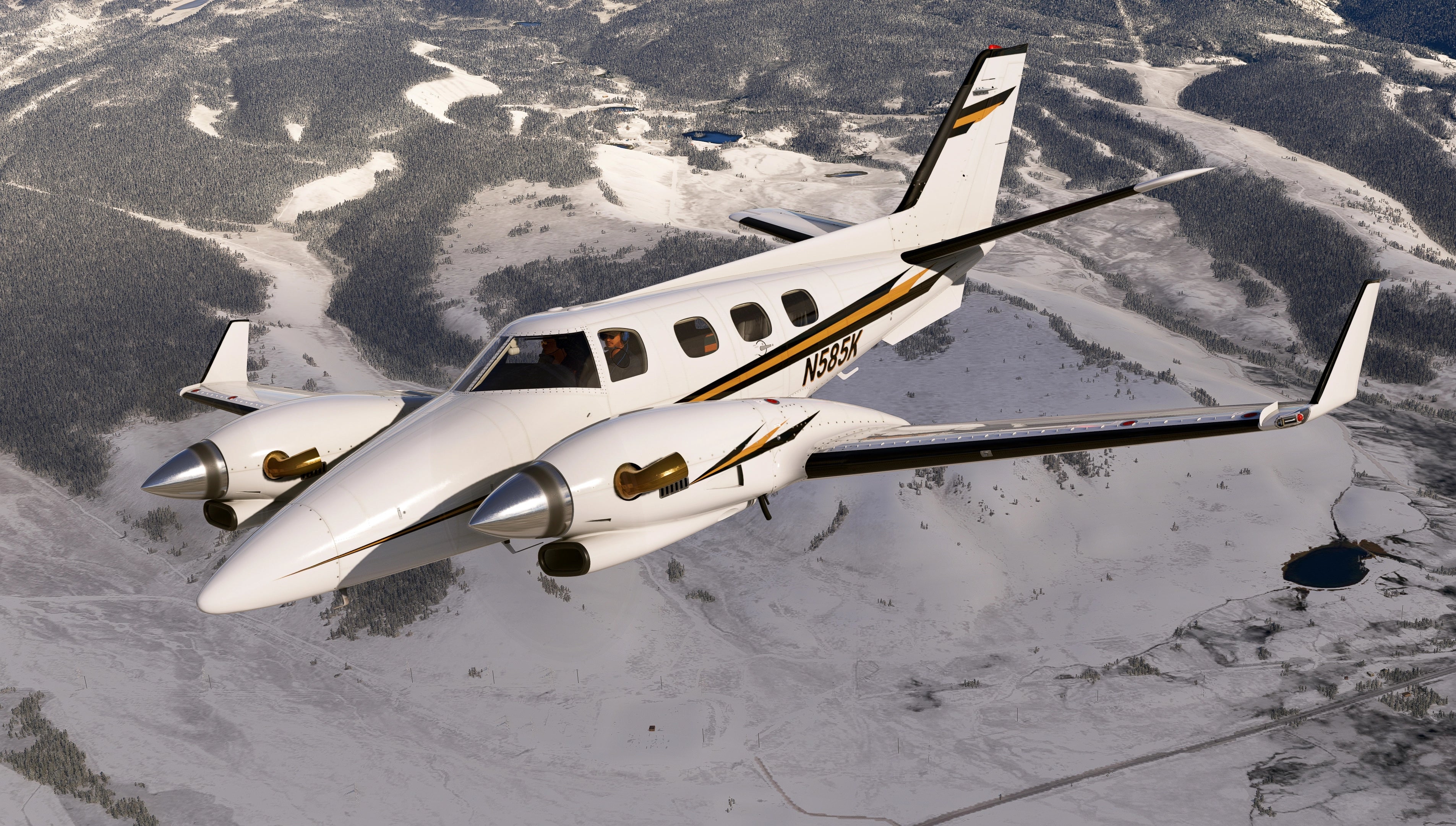 Turbine Duke MSFS - Image 16