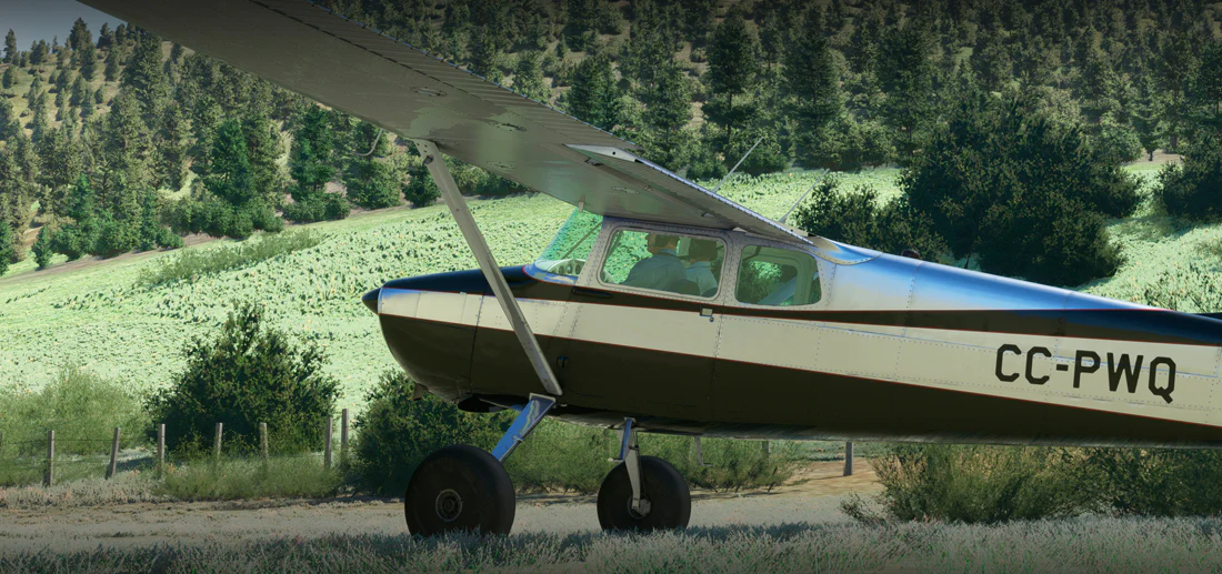 C170B MSFS20 - Image 9