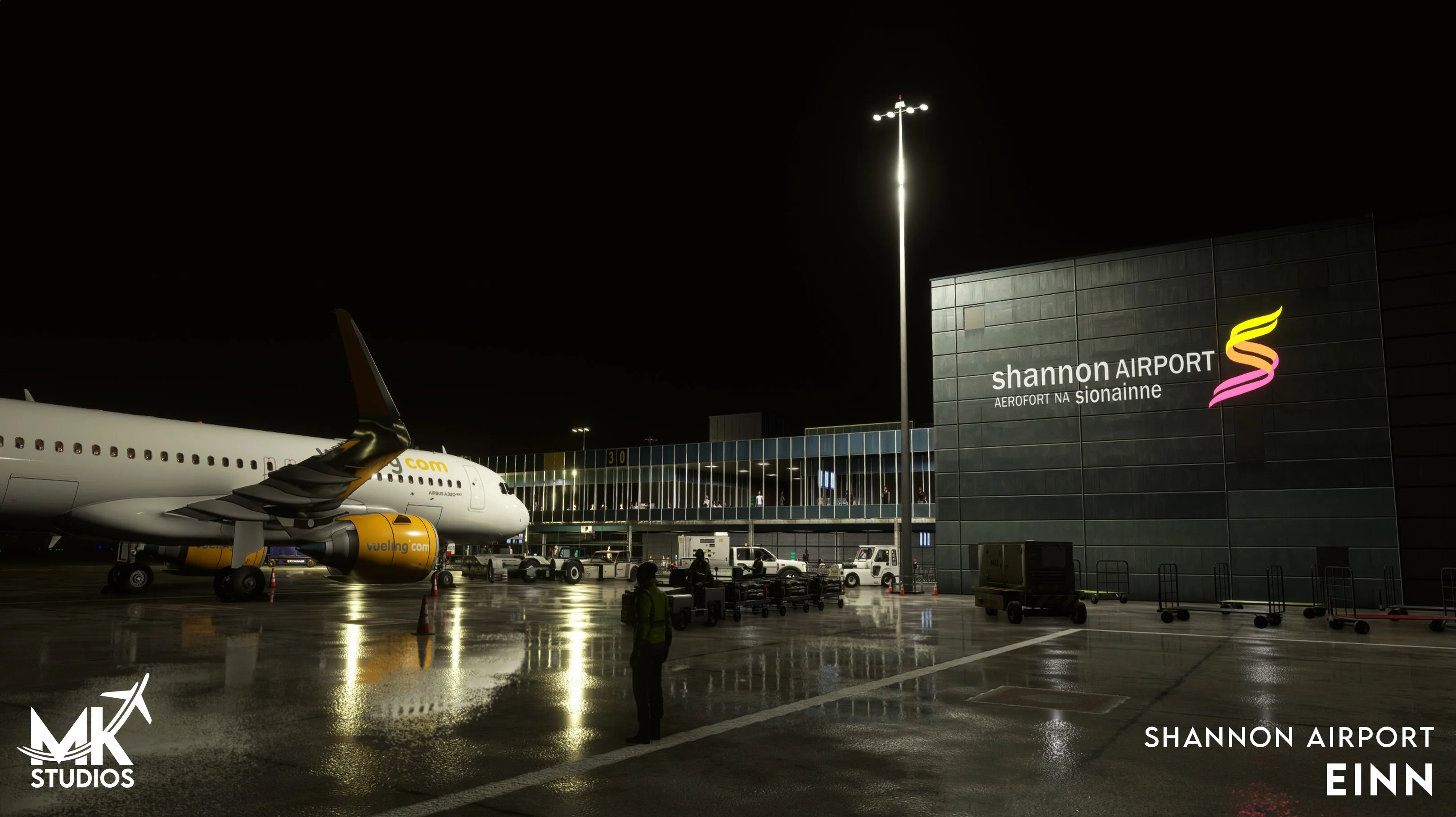 EINN - Shannon Airport MSFS - Image 23