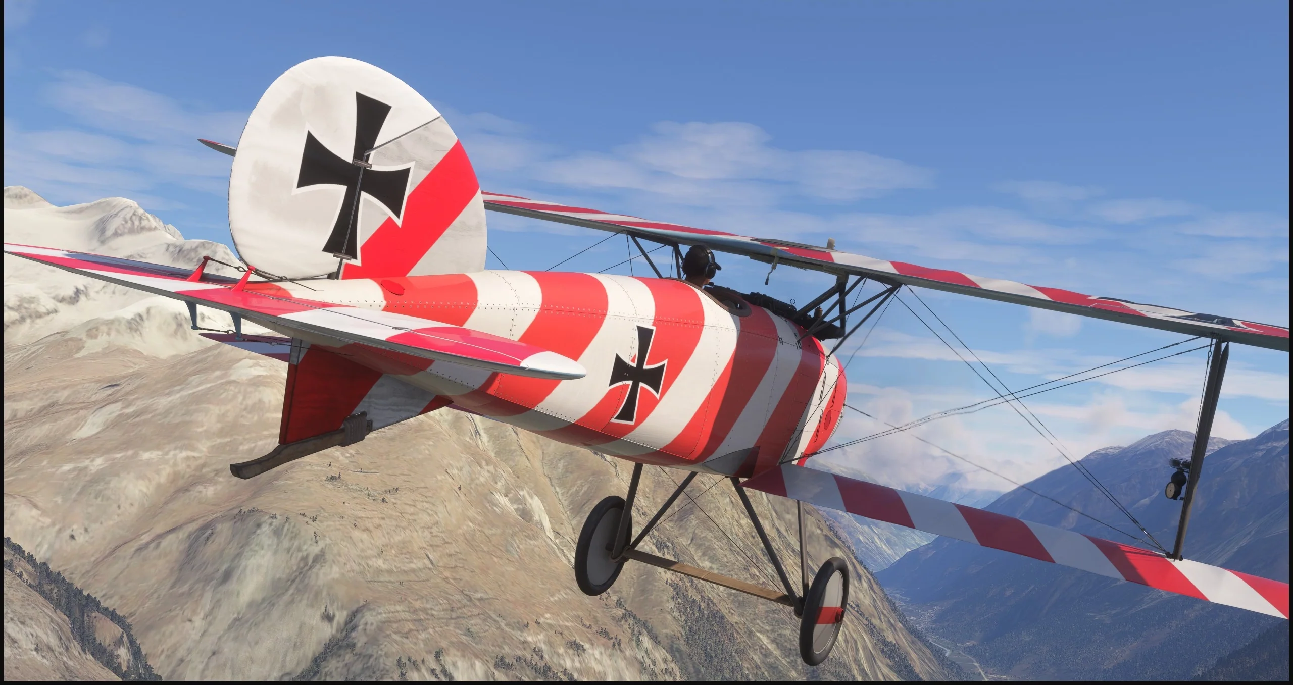 Albatros D.III O.A.W MSFS20/24 - Image 15