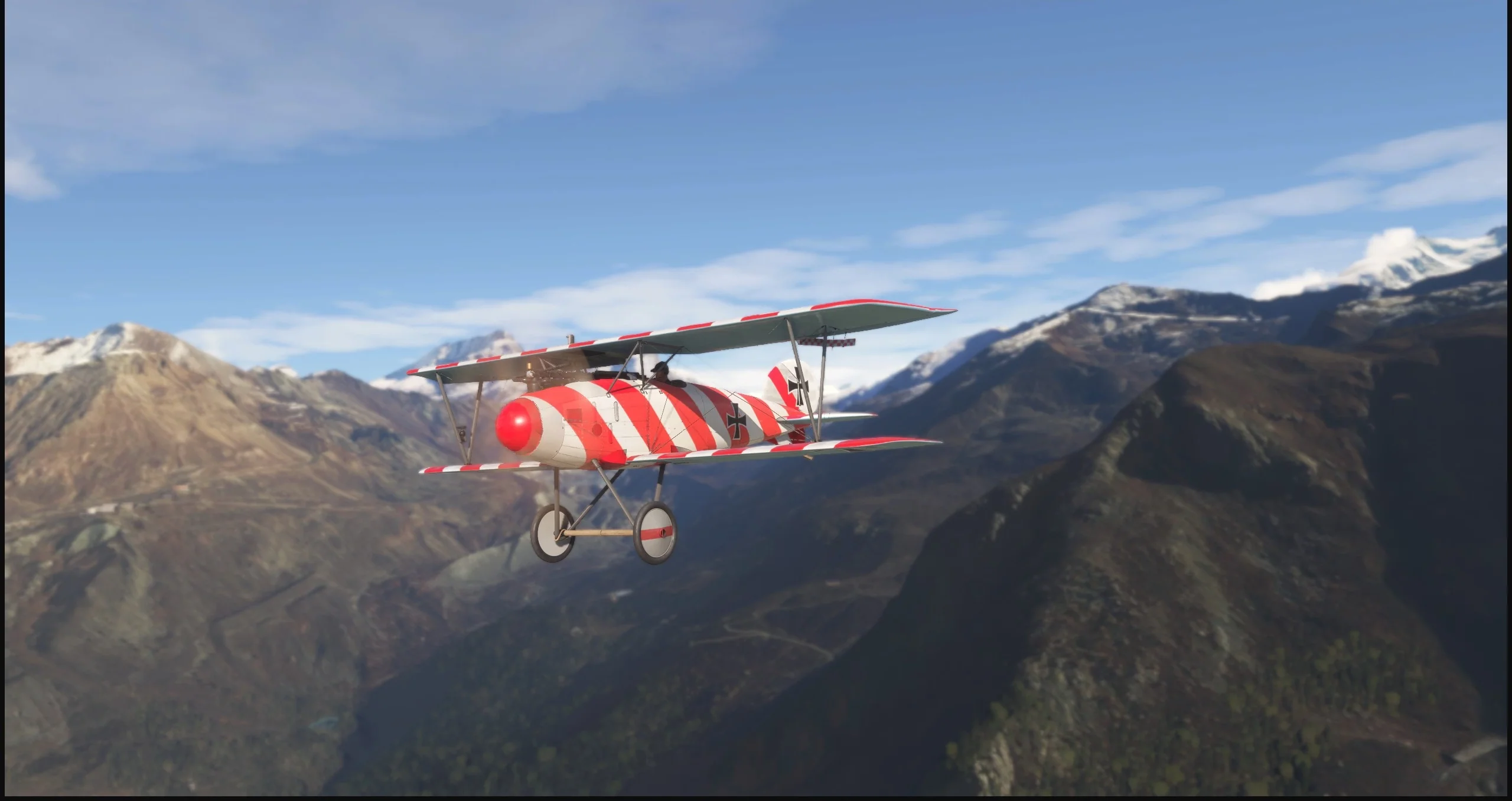 Albatros D.III O.A.W MSFS20/24 - Image 16