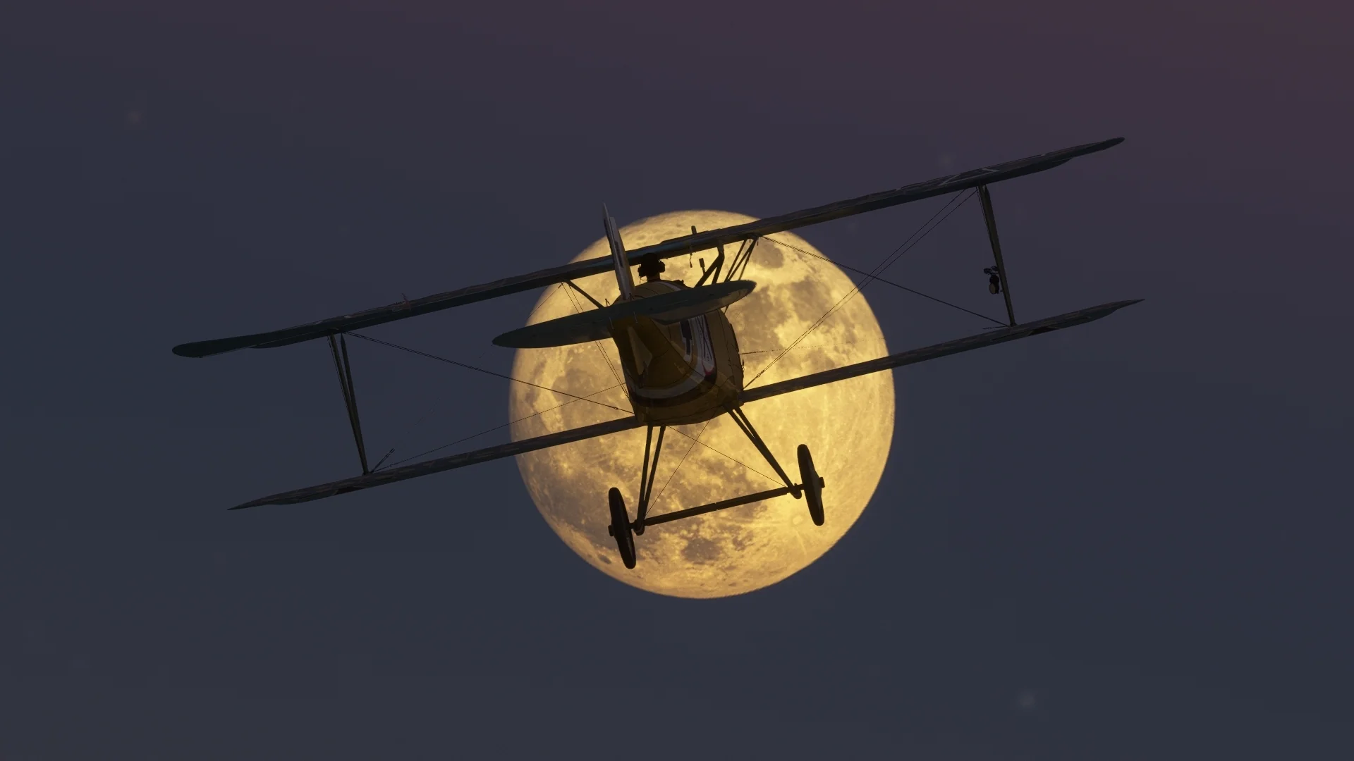 Albatros D.III O.A.W MSFS20/24 - Image 3