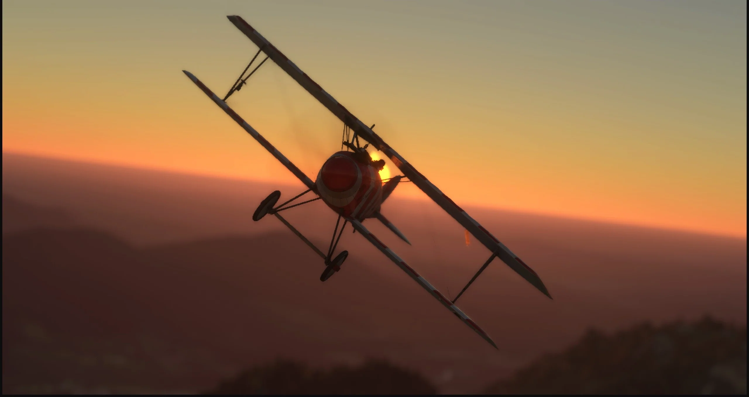 Albatros D.III O.A.W MSFS20/24 - Image 5