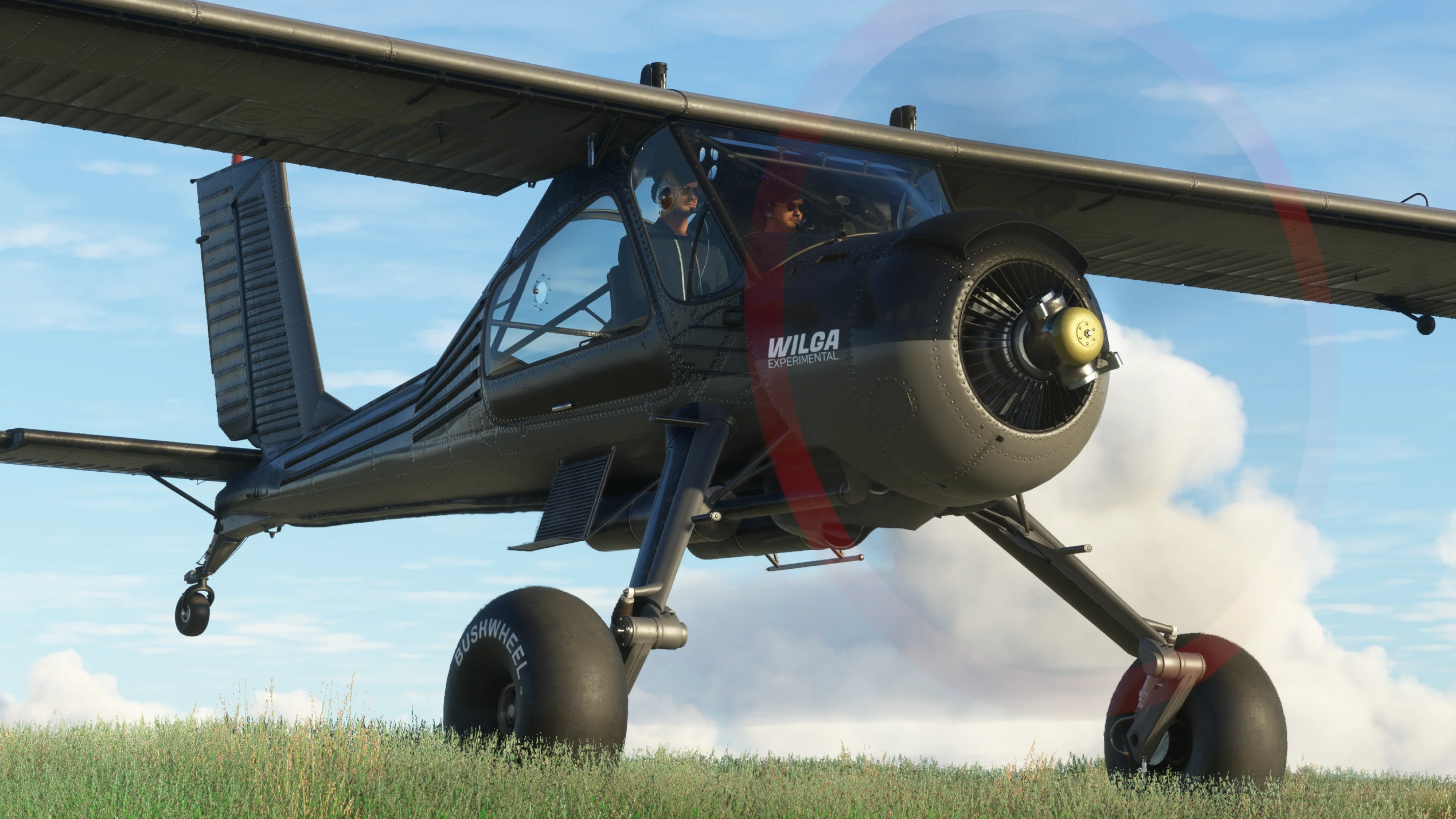 Wilga 35/80 Series MSFS - Image 7