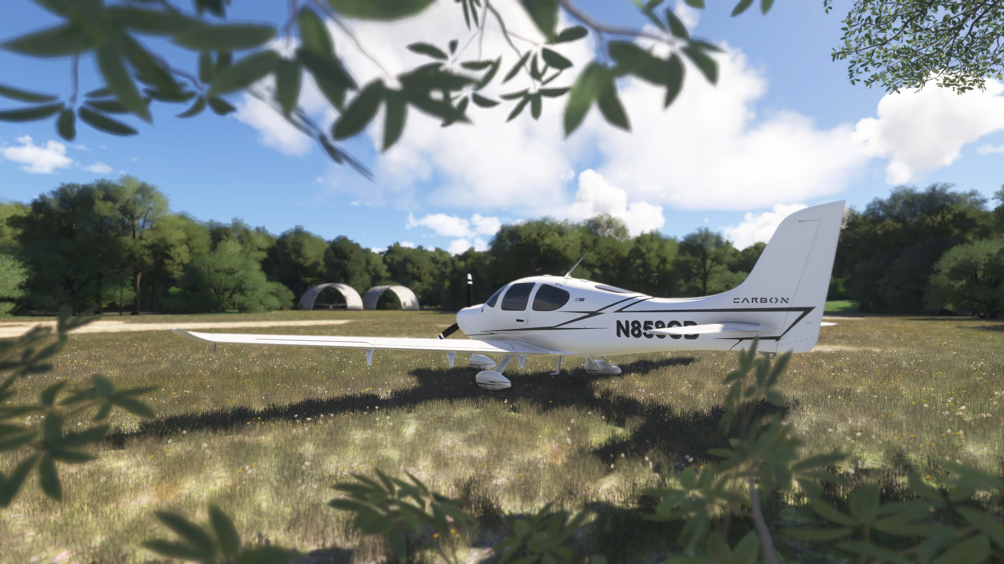 CRL2 - Westport / Rideau Lakes Airport MSFS20/24 - Image 16