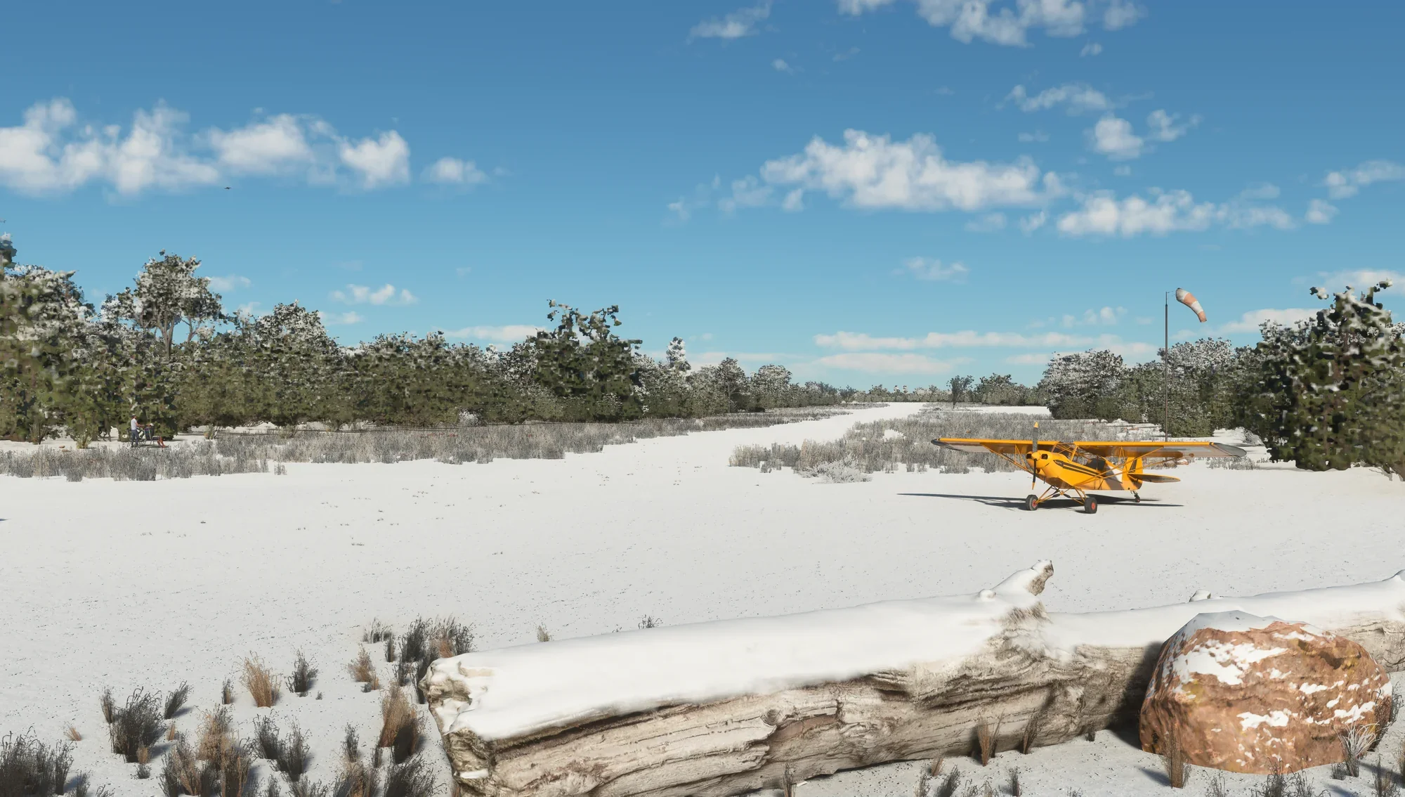 Cedar Mountain MSFS - Image 4