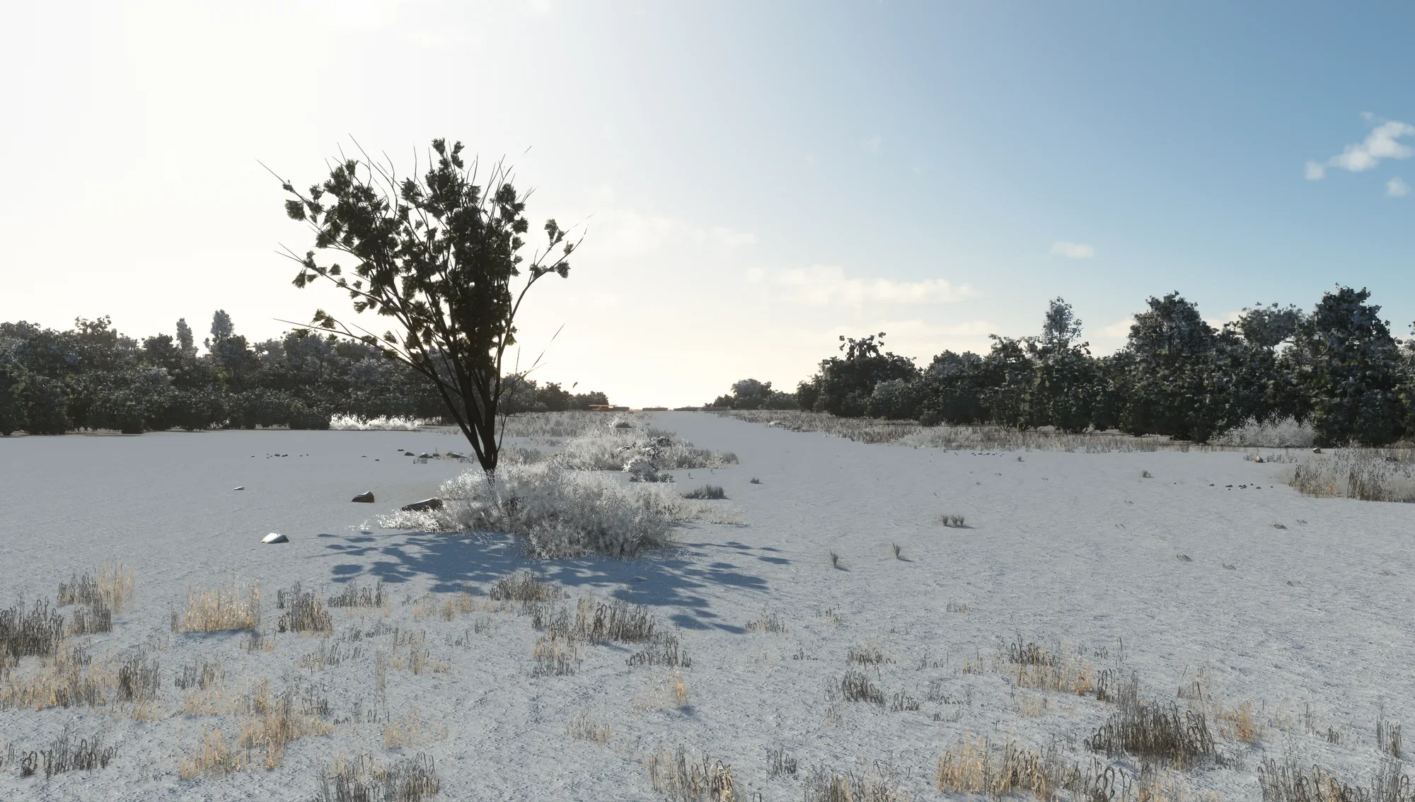 Cedar Mountain MSFS - Image 6