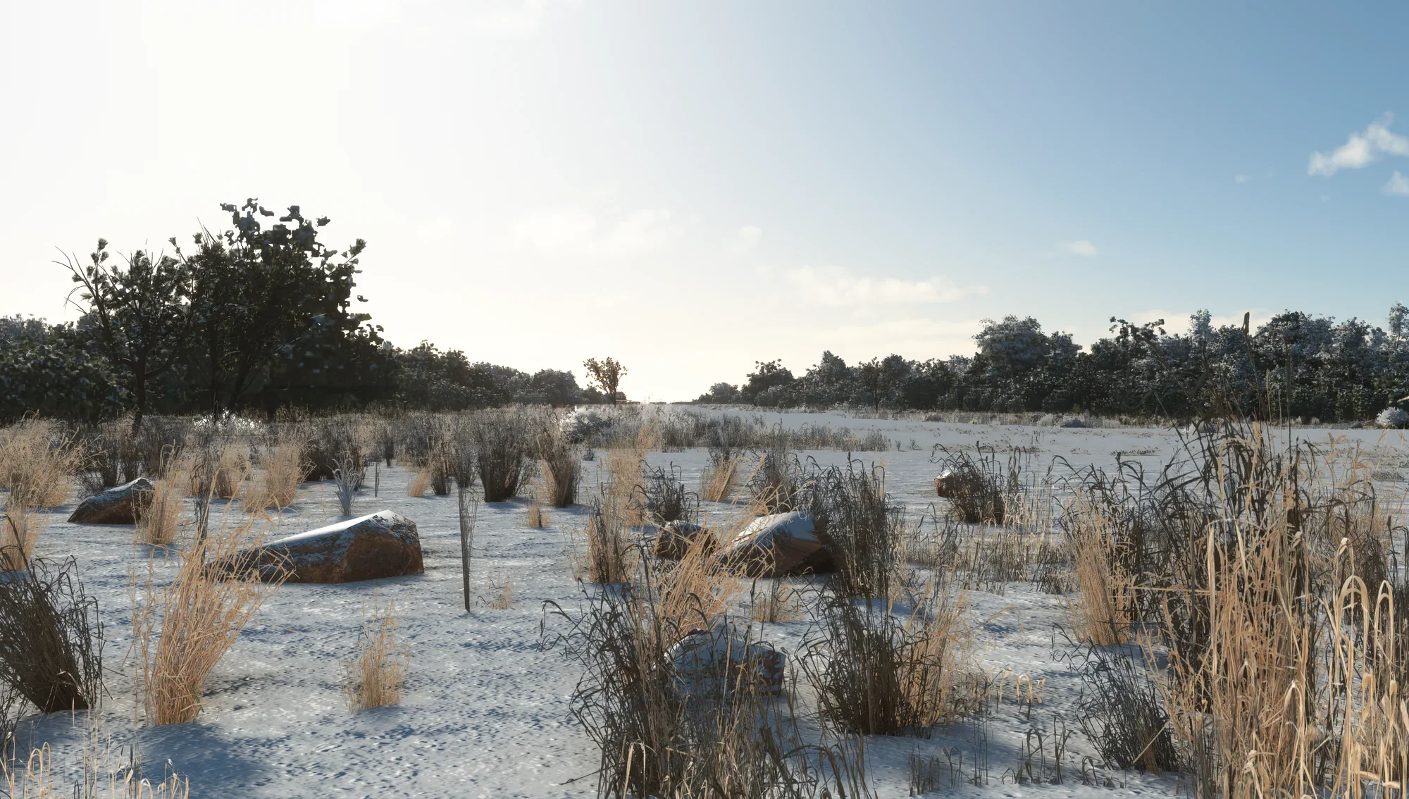 Cedar Mountain MSFS - Image 7
