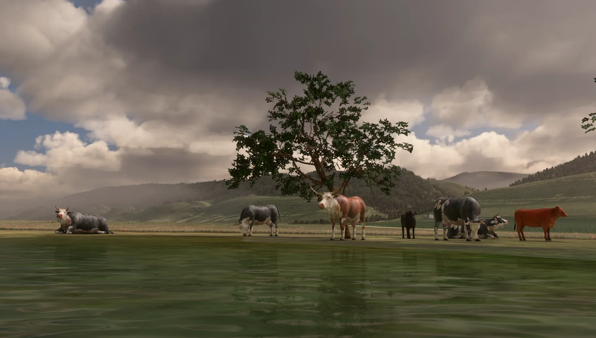 Circle B Ranch MSFS20 - Image 33