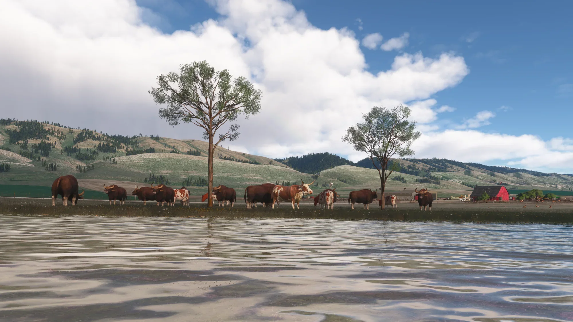 Circle B Ranch MSFS24 - Image 32