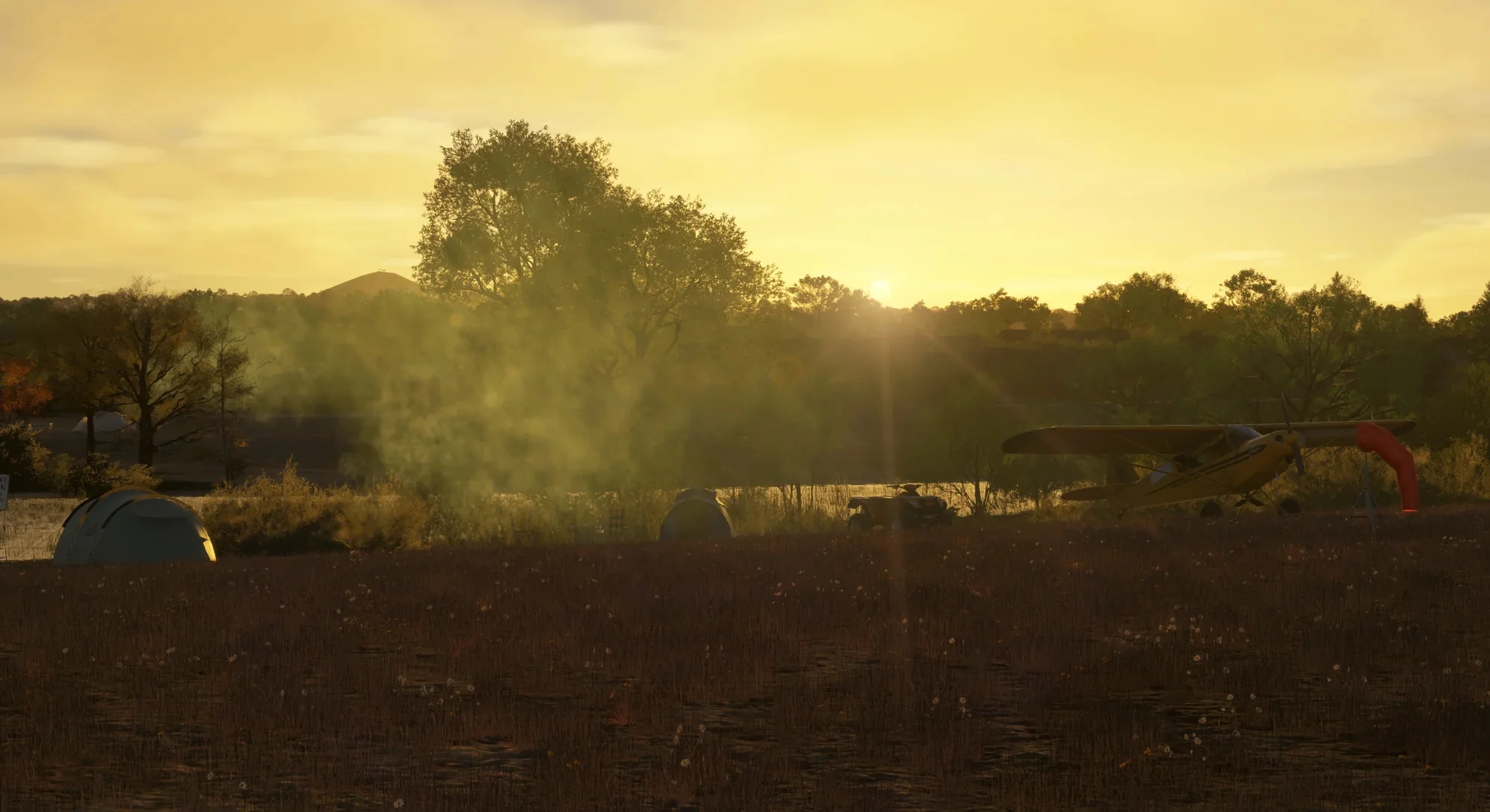 Coyote Estate MSFS24 - Image 19