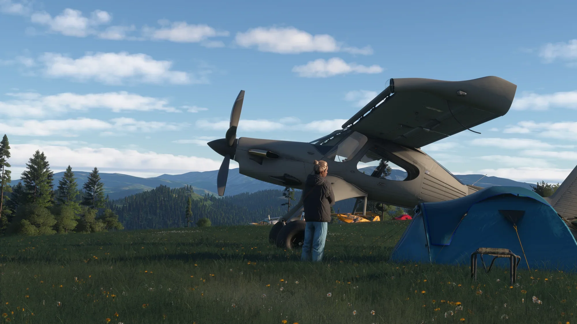Widows Peak FS24 - Image 2