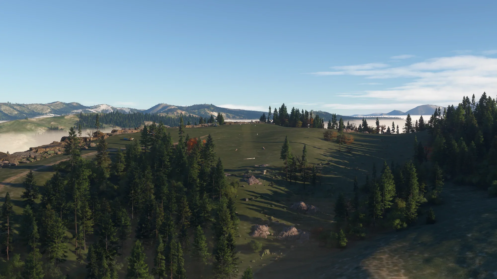 Widows Peak FS24 - Image 23