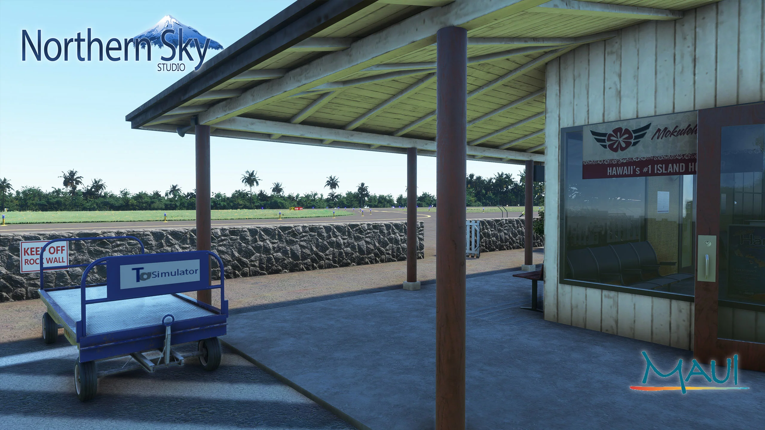 PHHN - Hana Airport MSFS - Image 22