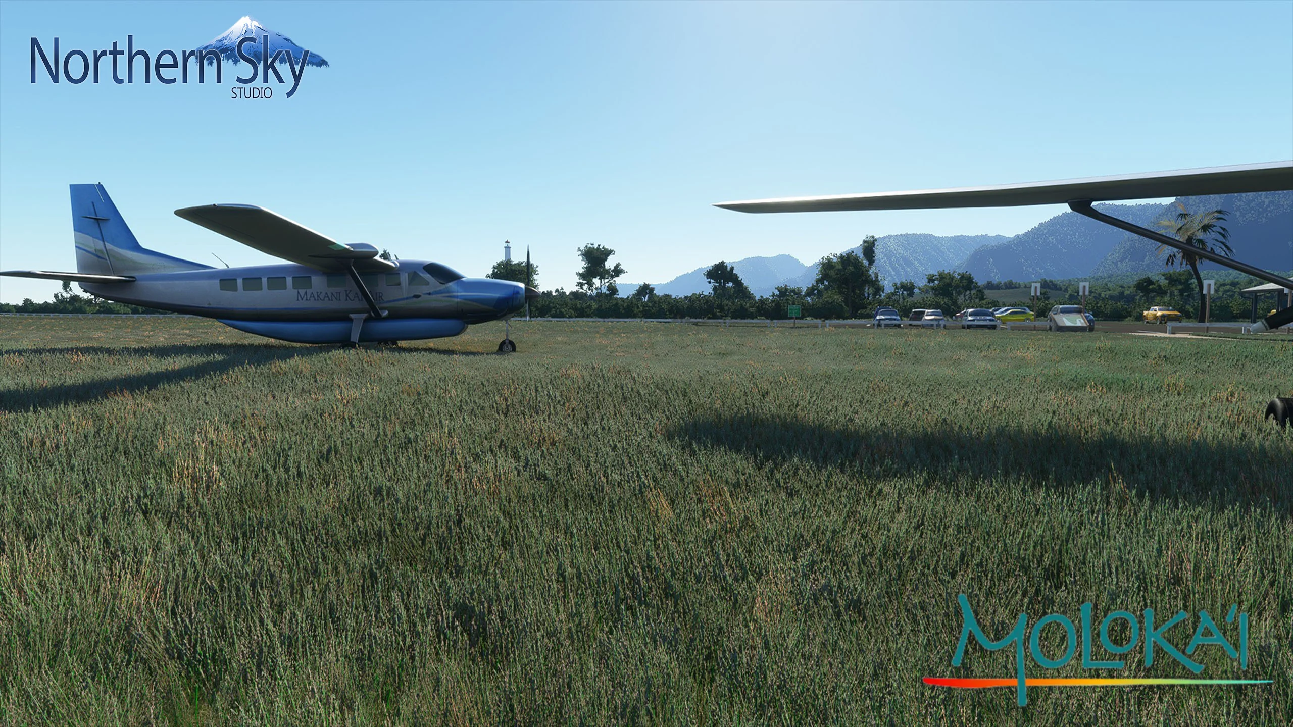 PHMK - Molokai Airports MSFS - Image 50