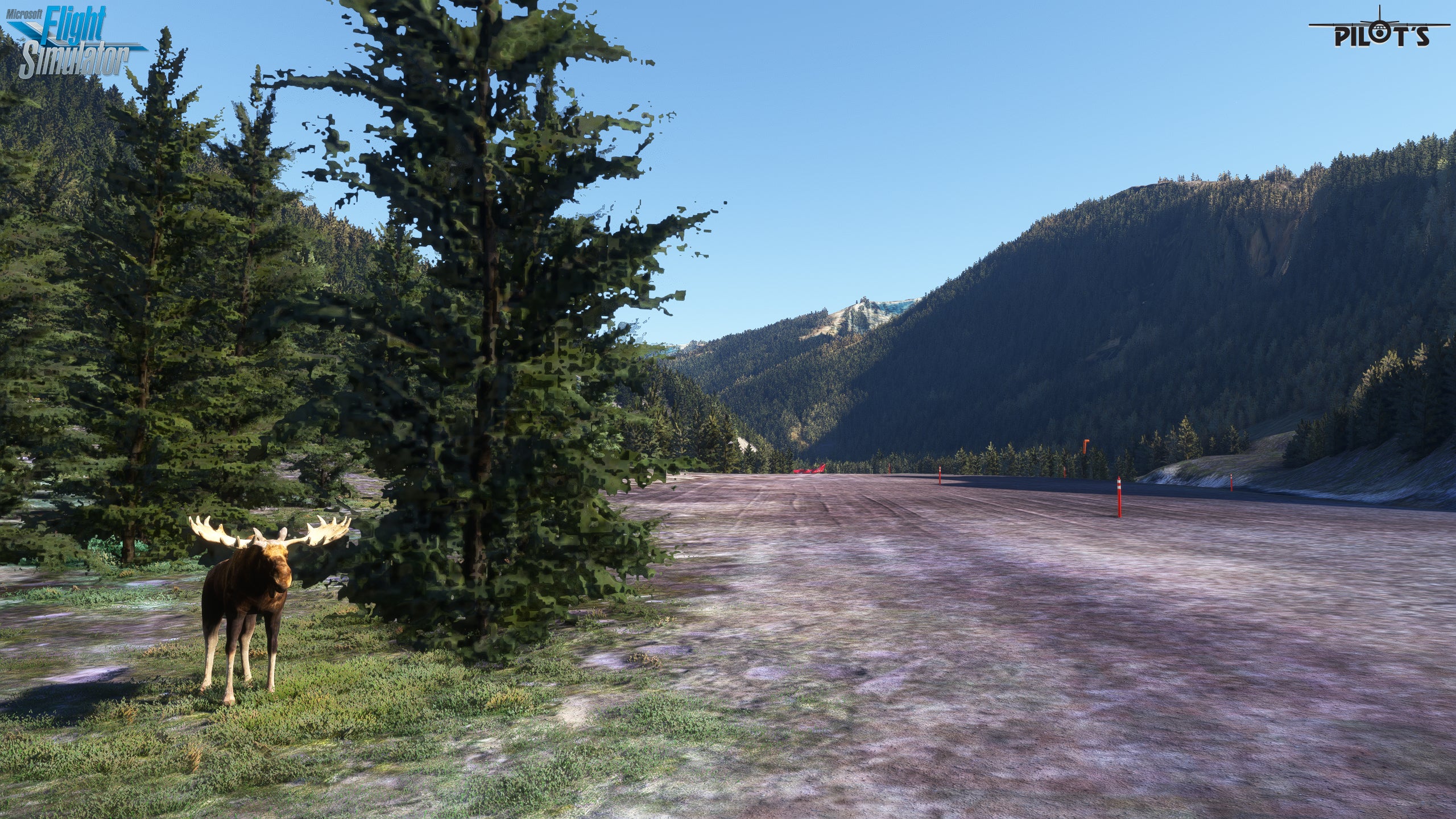 CBH4 - Prairie Creek Airport MSFS20/24 - Image 4