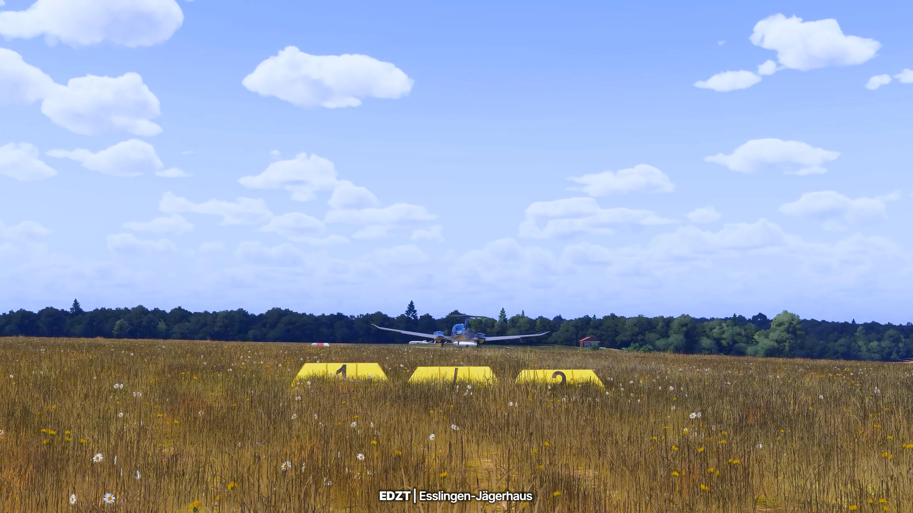 Stuttgart Airfields MSFS24 - Image 29
