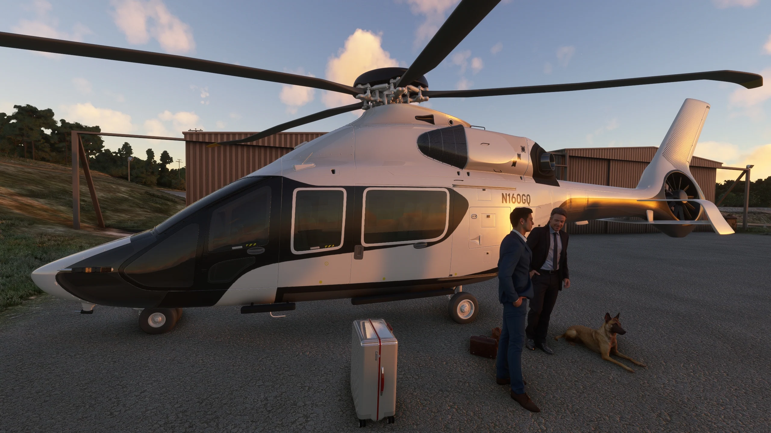 W24 - Falwell Airport MSFS - Image 13
