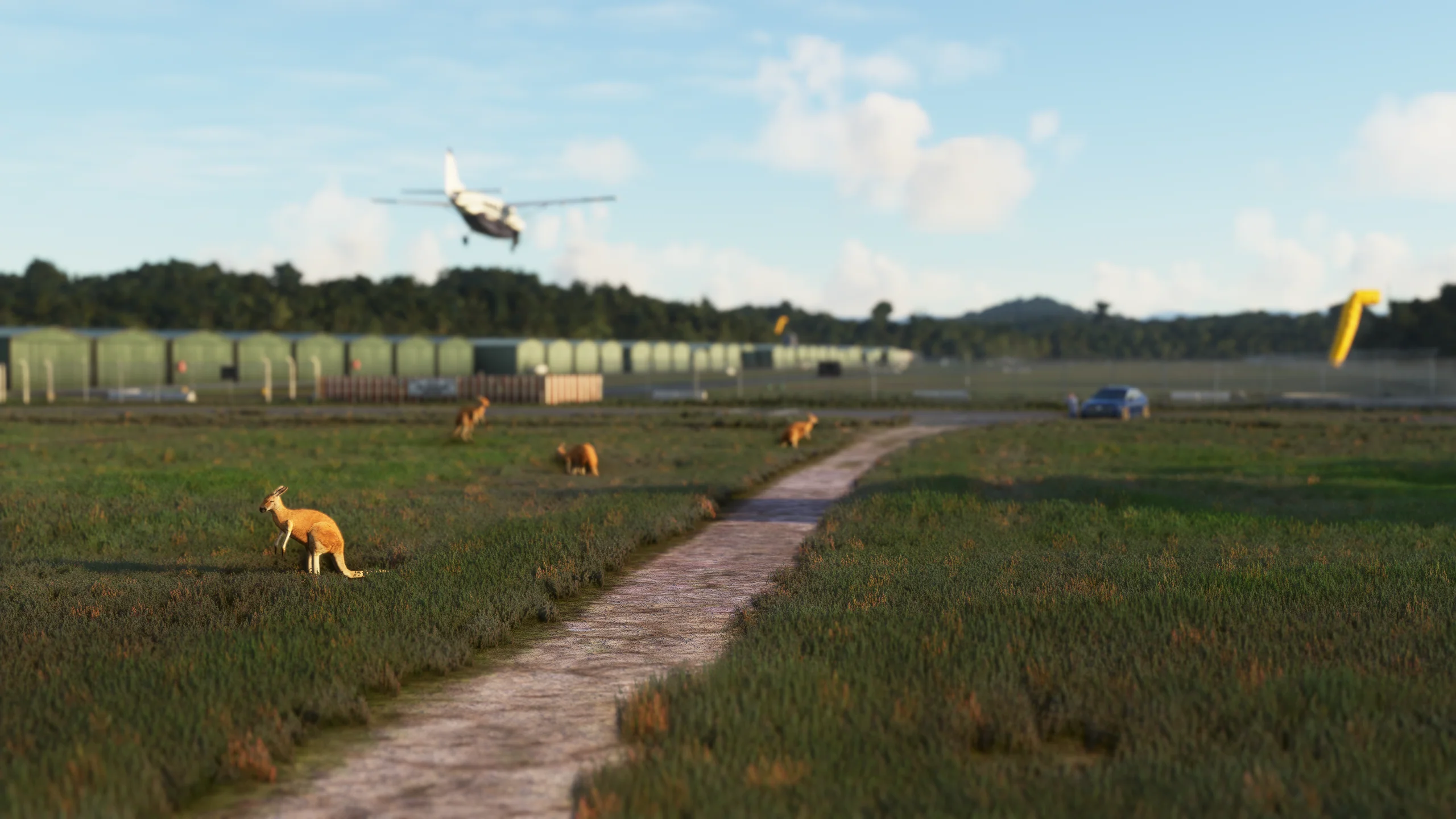 YSPT - Southport Gold Coast Airport MSFS - Image 3